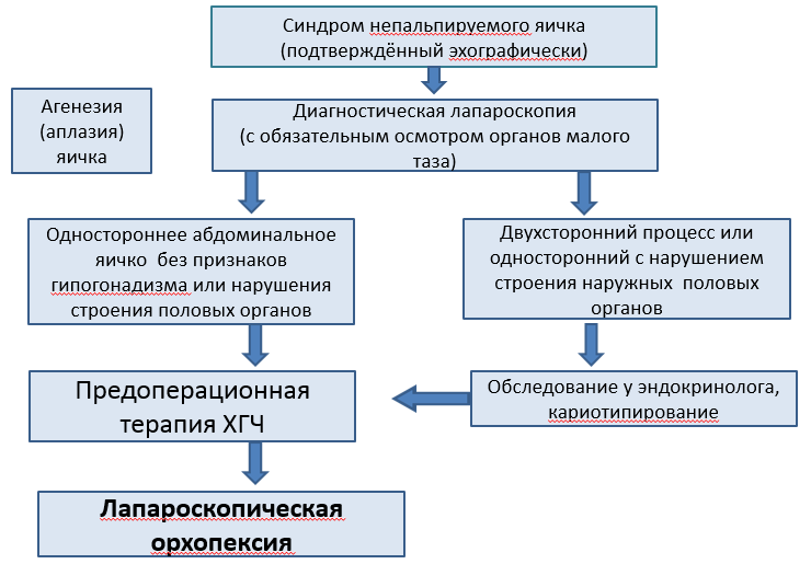 Доклад: Крипторхизм